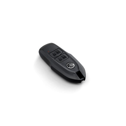 Keyless Remote (Optional)