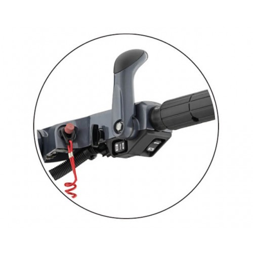 Variable Trolling RPM Switch (VTS)