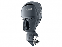 Yamaha F250