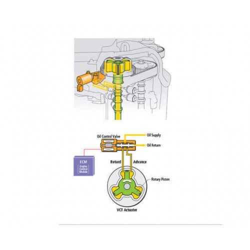 Variable Camshaft Timing